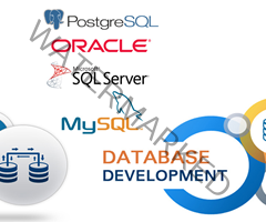 
Database Development
