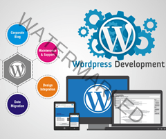 
WordPress-Development
