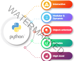 
python development
